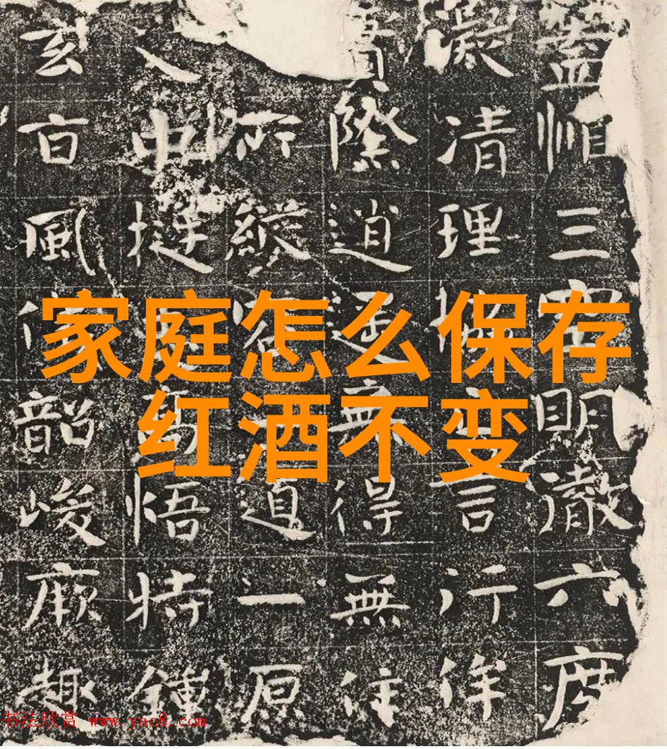 高C公交车城市公共交通的典范