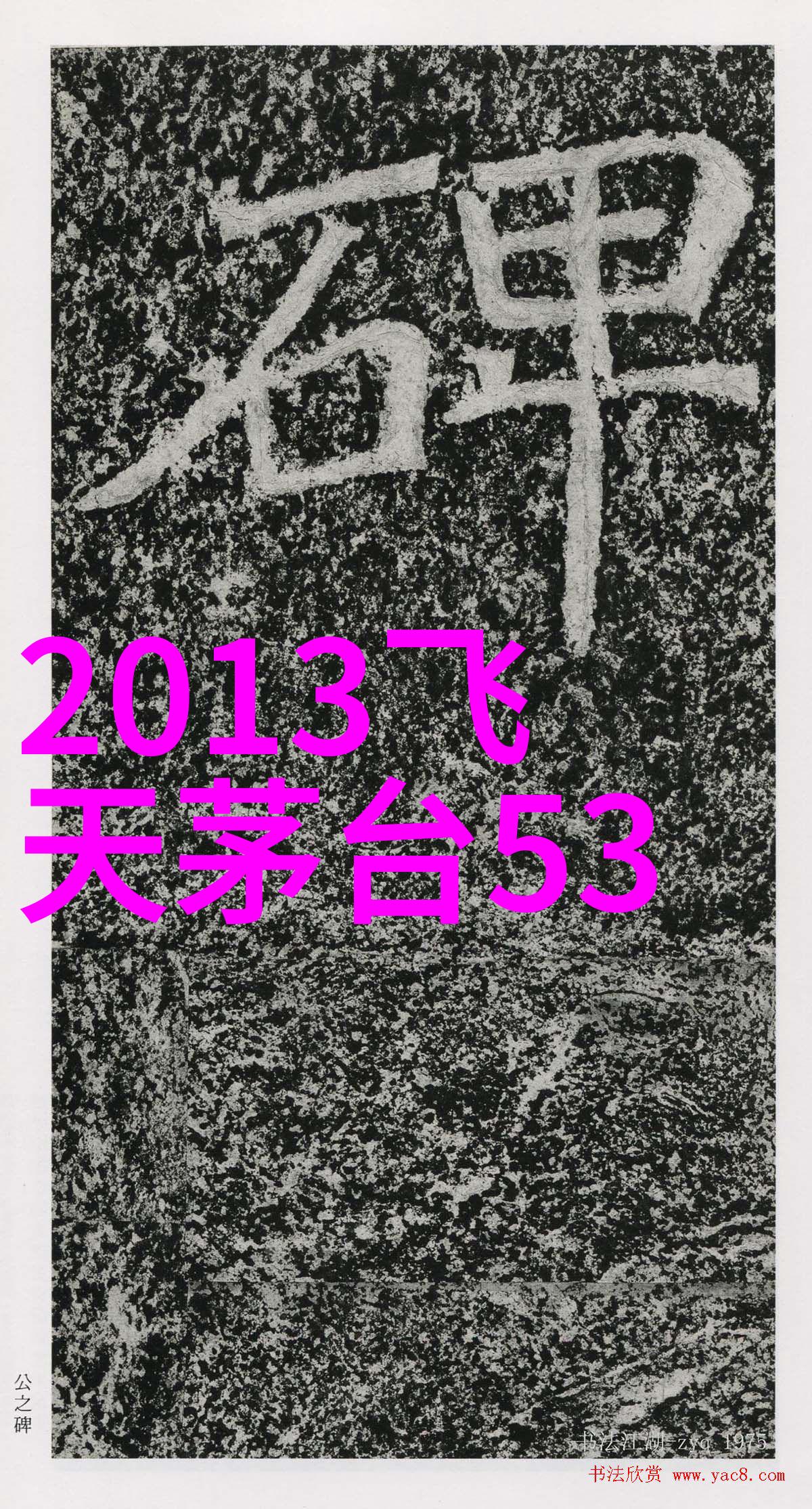普陀区佛教文化体验之旅
