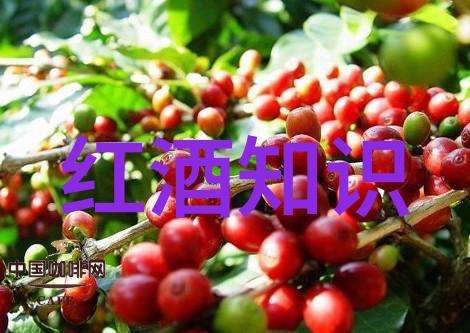 探秘周边美景寻宝地图上的奇迹