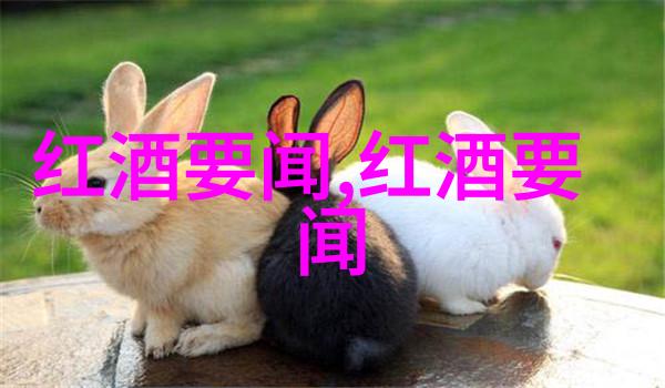 打造个人风格的室内装饰通过艺品让空间活跃起来