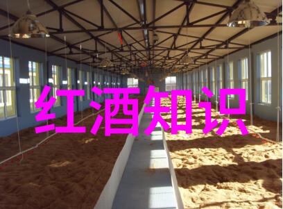 葡国波尔图地区的杜罗河谷产出什么样的葡萄酒