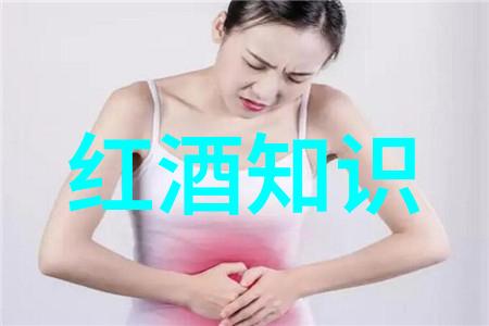 虚拟世界中的真实情感AI人物与用户的互动