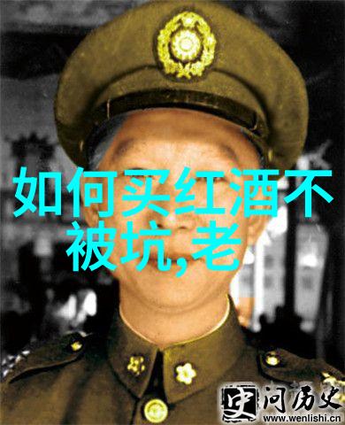 探索法国最著名的葡萄酒产区波尔多与勃艮第的葡萄酒传奇
