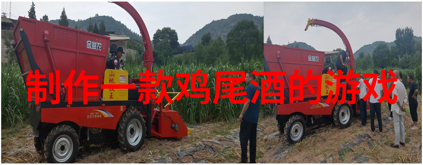 玫瑰花品种排行榜-绽放的香气全球最受欢迎的玫瑰花品种TOP10