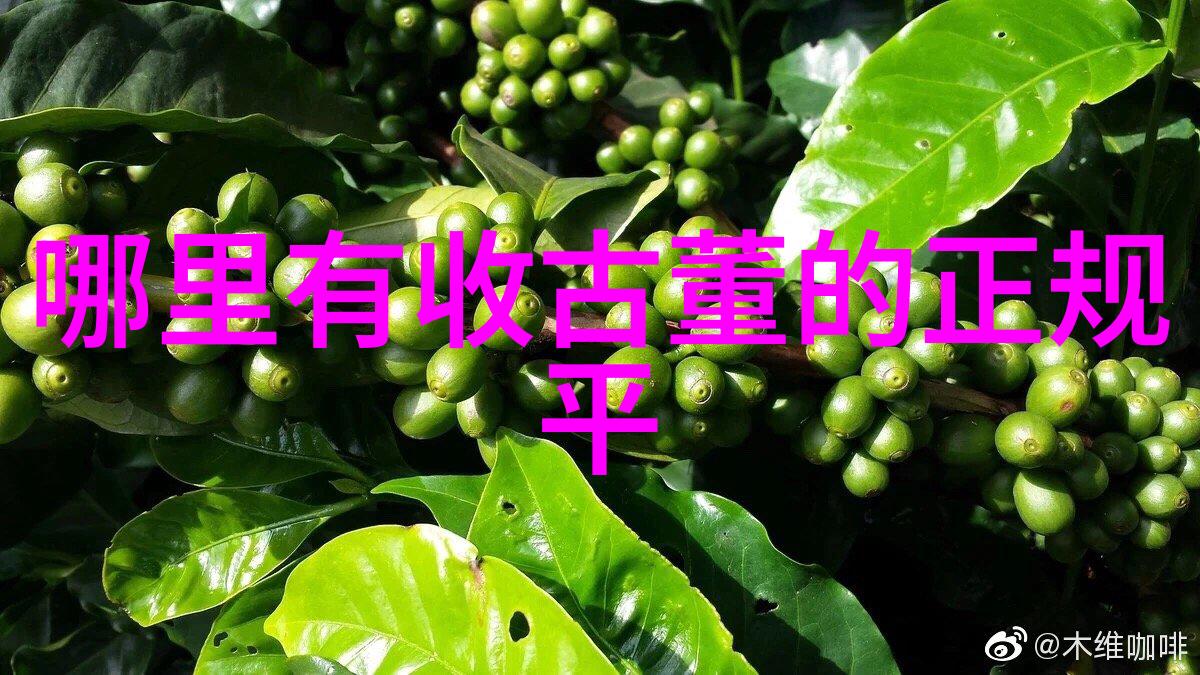 主题-从古代的苏珊到现代的和平探索以色列与巴勒斯坦历史渊源