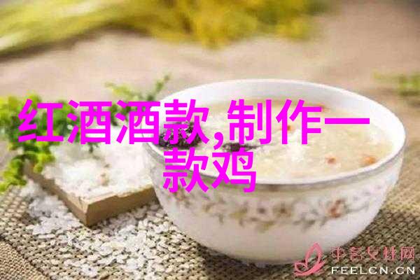 猫的世界从家猫到异国风情的宠物伙伴们