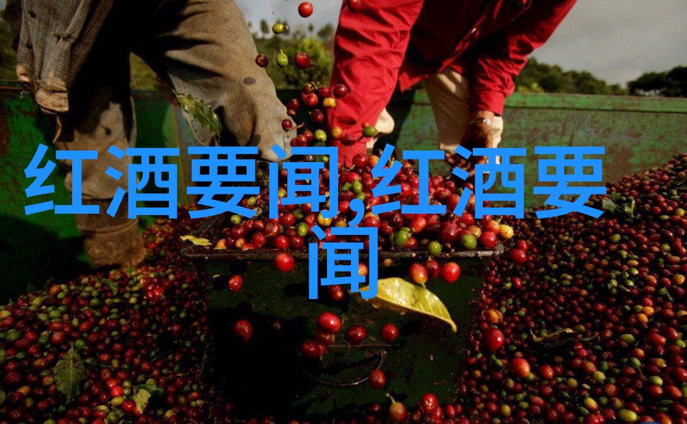 玫瑰花名称大全饮料行业必须改变对散装葡萄酒的态度吗