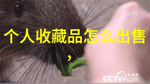 智力问答题库我是如何从零到英雄的我的智力问答征程
