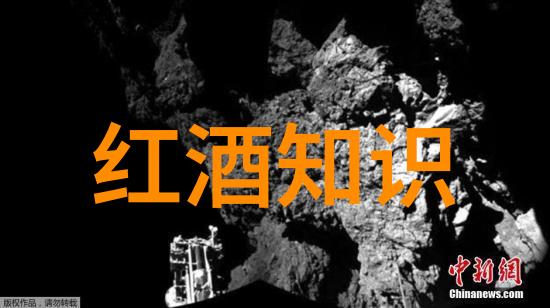 醉心葡萄园揭秘红酒的香艳故事