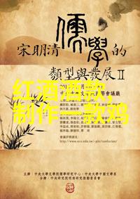 主题我看中国vs巴西世界杯球场上的风采与激情