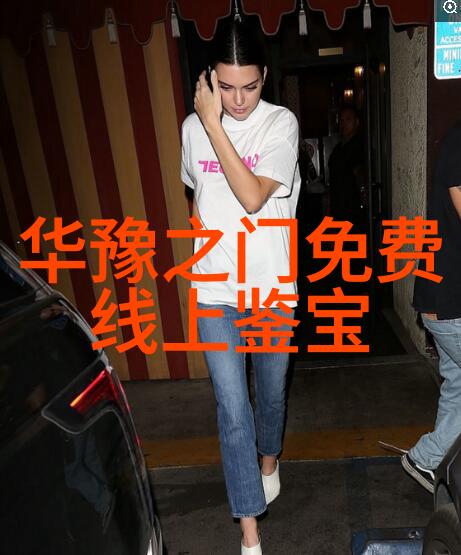 江山为聘新浪时代的文人行走