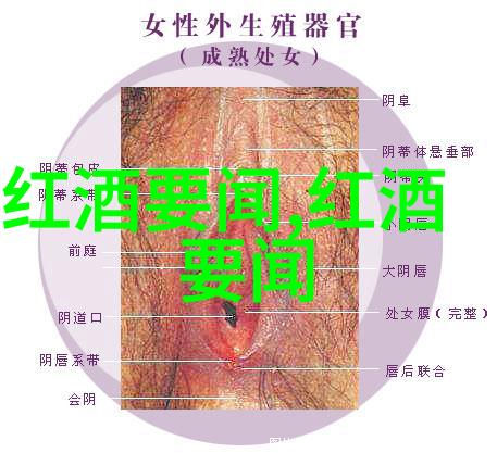 从珍品到流行现代纪念币市场价格走势探究