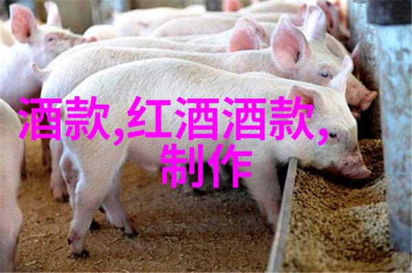 神雕修仙传中的江南七怪一段传奇的友情与挑战
