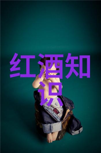 山东早酒文化历史我亲眼见证的黄焖鸡米饭与老窖里的秘密