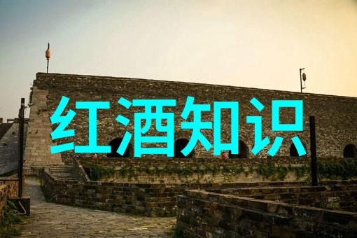 动漫周边-色彩斑斓的文化艺术品探索
