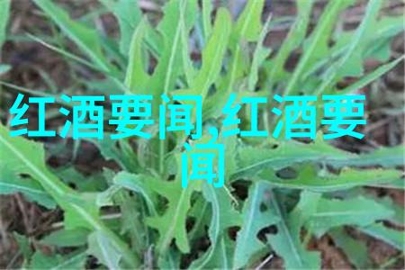 这些建名反映了当时社会结构或政治局势的情况如果是的话我们能找到哪些证据支持这一观点吗
