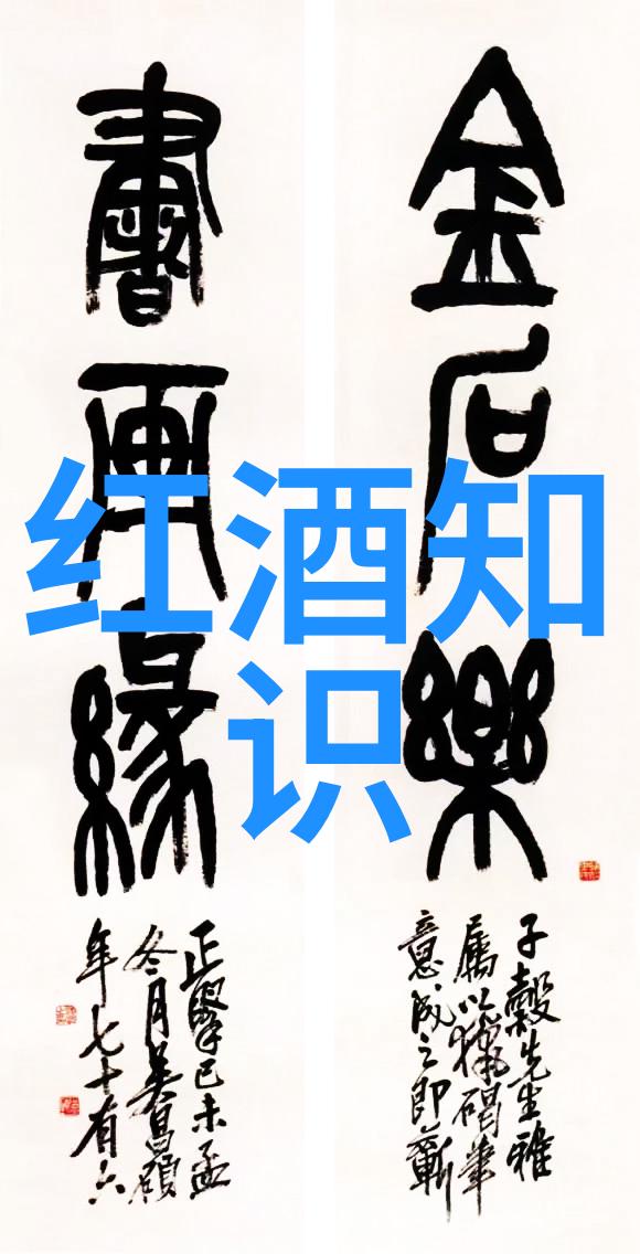 中国葡萄酒之乡探秘法国普罗旺斯的醇香与魅力