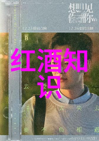 MD豆传媒之窗探索一二三区进站口的魅力与奥秘