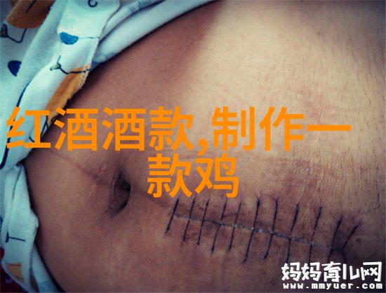 圆明园简介和历史我眼中的圆明园从古代帝王的瑰宝到近代的悲剧