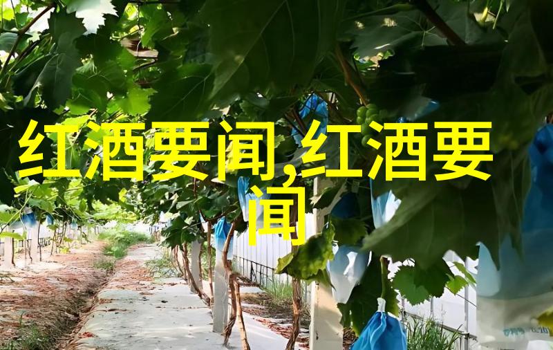 奉贤县沪上隐逸地带感受田园生活的一面