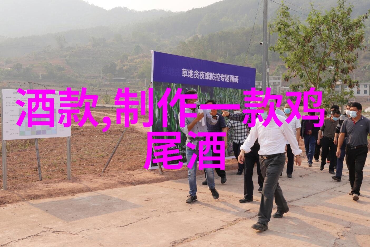 白酒不宜与哪些食物共舞