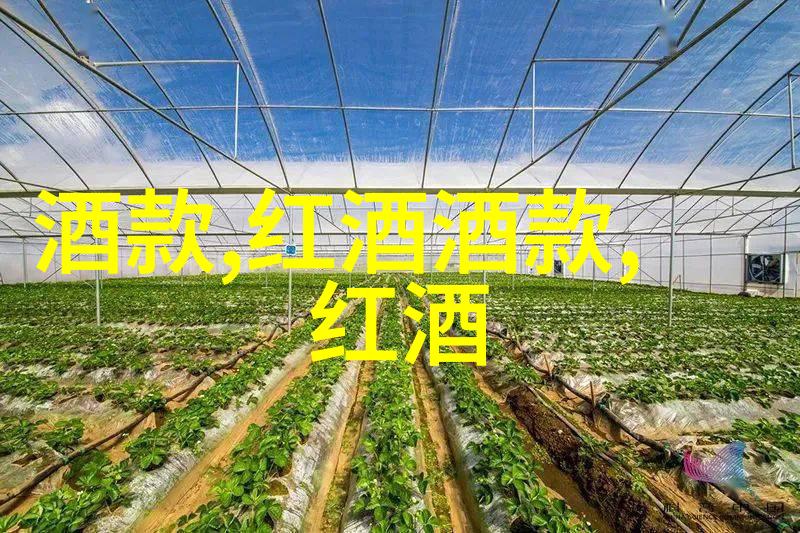 一个在上面吃一个在下面做那个-上下的对话与食物的交响