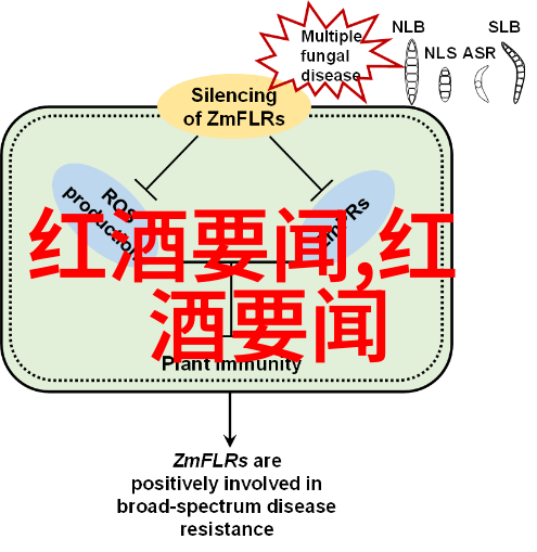 开心庄园玩家必知如何安全高效提现收益