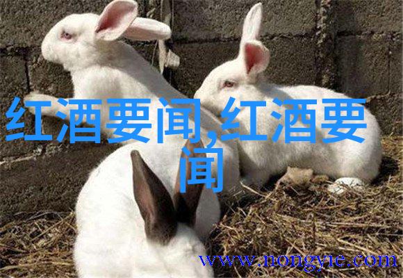 钱币大展从古至今的硬币故事揭秘你的零花钱背后的历史秘密