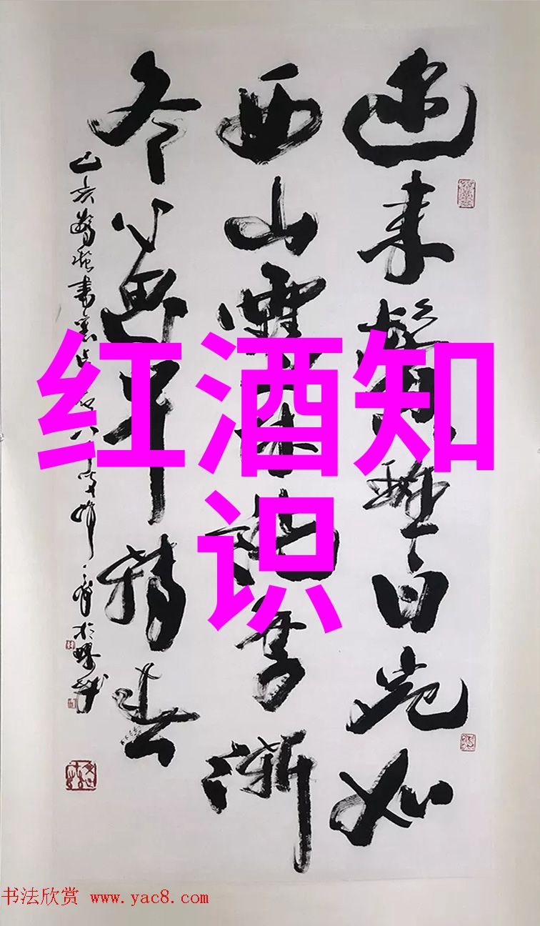 江南水乡探秘两日游上海周边的美妙之旅