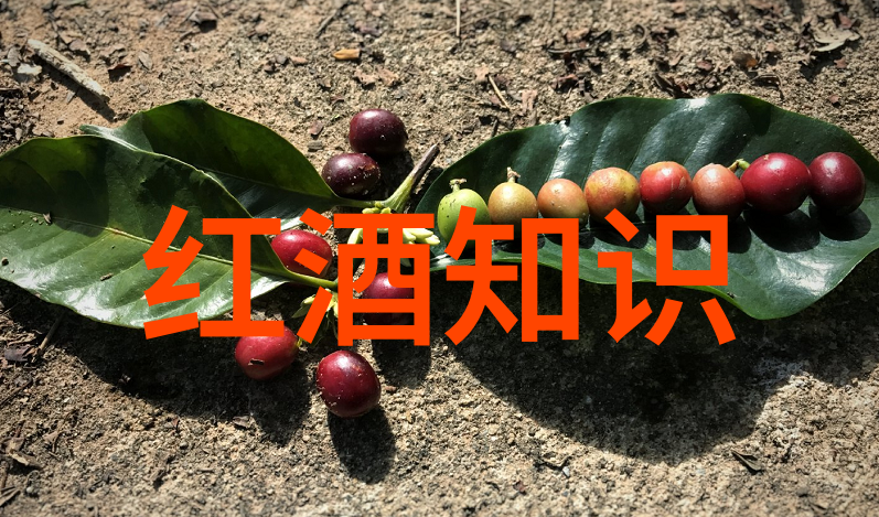 百度搜索技巧高效提问方法百度搜索技巧高效提问方法百度查询优化