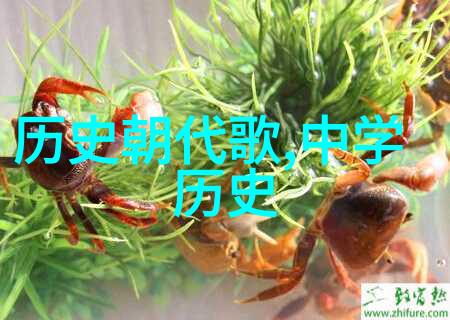 古今价格流变揭秘市场波动的奥秘