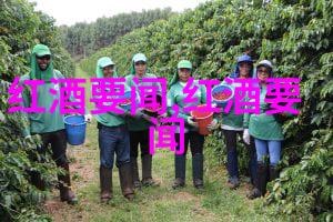 法国波尔多背后的历史与地理要素
