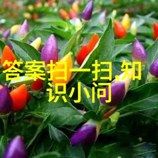 红酒与节日庆典精挑细选共酿美好时光探索什么是好的酒文化共同醉心于这段永恒的欢宴之旅