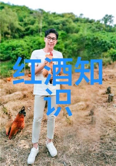手机里的宝库揭秘那些隐藏在视线之外的收藏