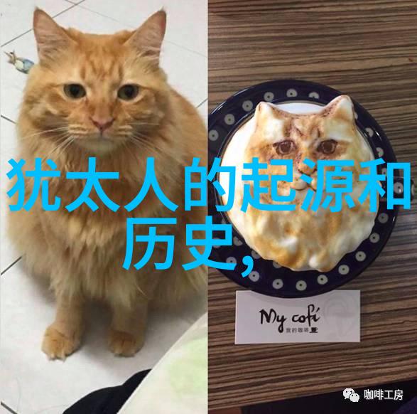 费用隐含揭秘12348法律援助服务的实际成本
