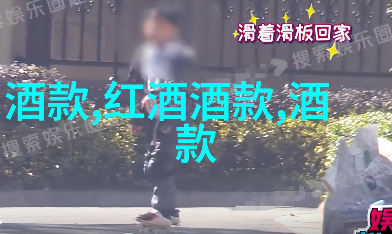 世界葡萄酒文化-醉美全球葡萄酒之旅与传统的交响曲