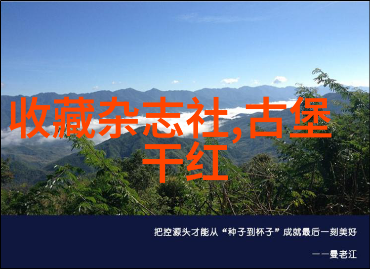 闪耀光环下的暗夜交易明星周边在哪个神秘app等你来挑战