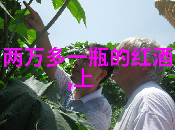 鸡群的秘密揭开小鸡庄园今日答案的神秘面纱