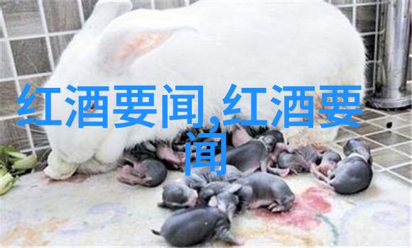 古迹中的秘密华夏文物收藏鉴定协会的未解之谜