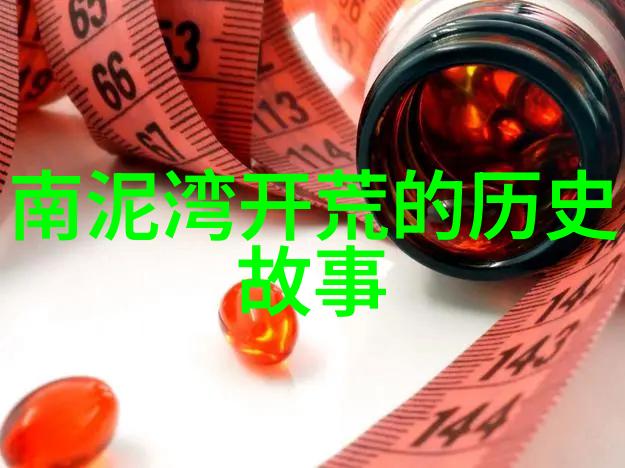 八上历史复习提纲我的史海无涯之旅
