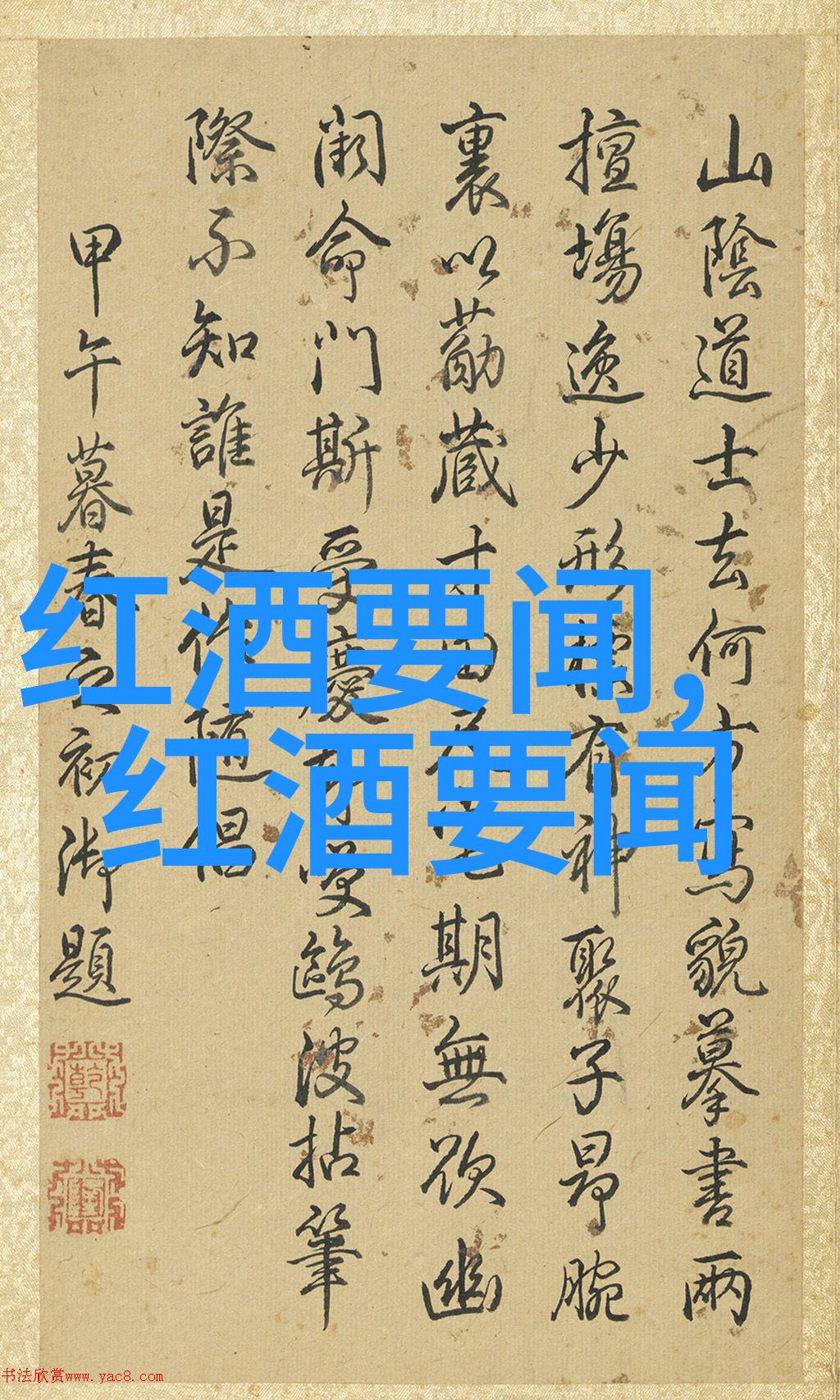 一场视觉盛宴全面的国际级别高性能狮子狗图片展示