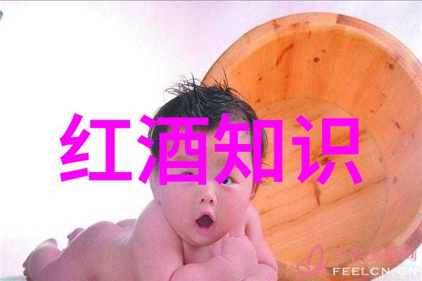 难道不是斯丁堡酒庄这个中世纪欧洲庄园名字吗