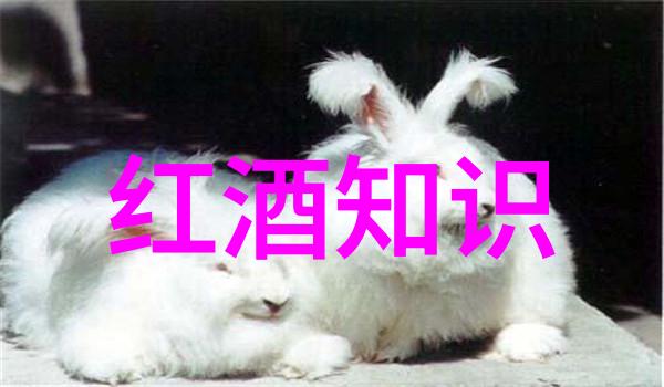 探索周末的奇遇一日游必去景点推荐