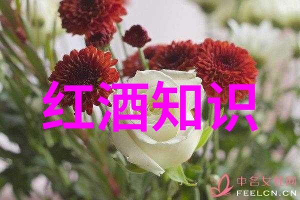 收藏杂志我是如何一点点变成杂志迷的