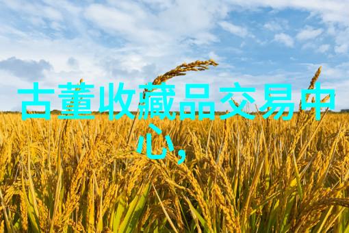 历史收藏展览探索古籍珍品的奇遇