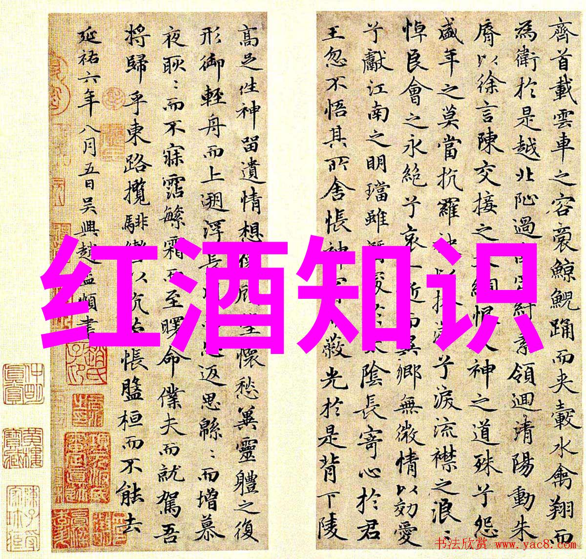 我们知道猫是多元化的但具体有多少种