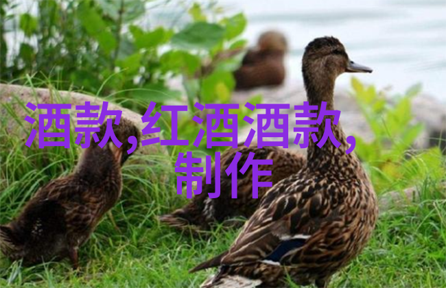 深色红酒与上海周边二日游社会中的品味探索