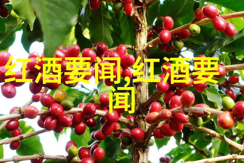 首席总裁的逃妻我是他的前老婆今天我要告诉你我的故事