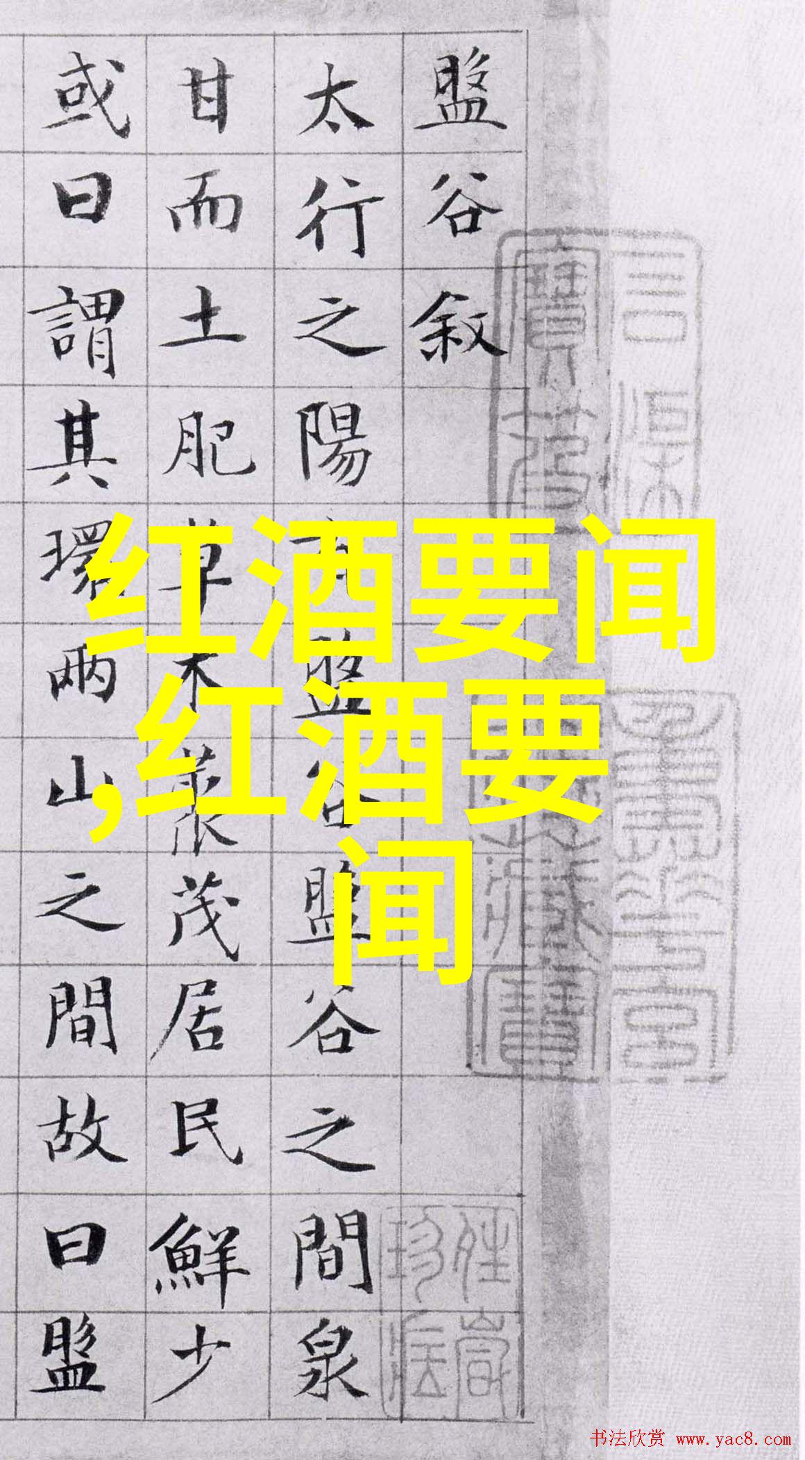 探秘宠物世界我和猫的奇妙冒险揭秘各种猫种类大全图片