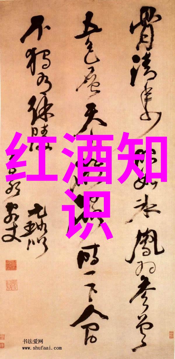 周边游记上海的自驾奇遇